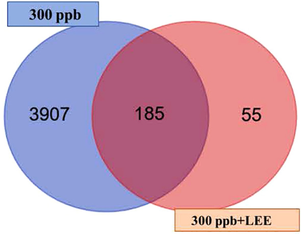 Figure 5