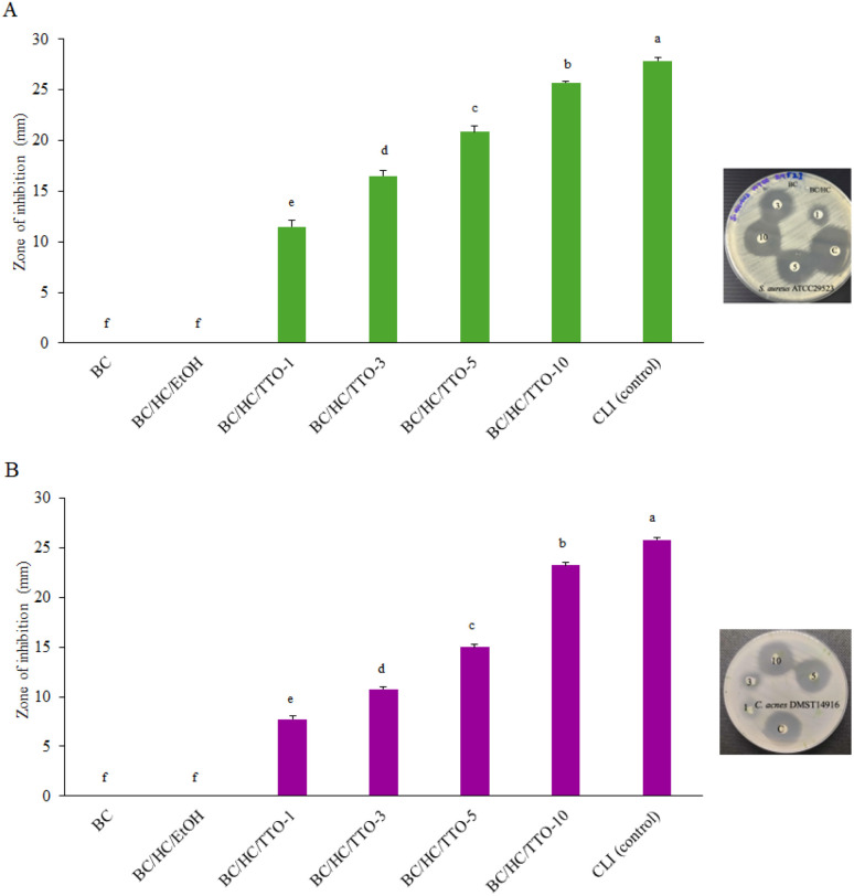 Fig. 11