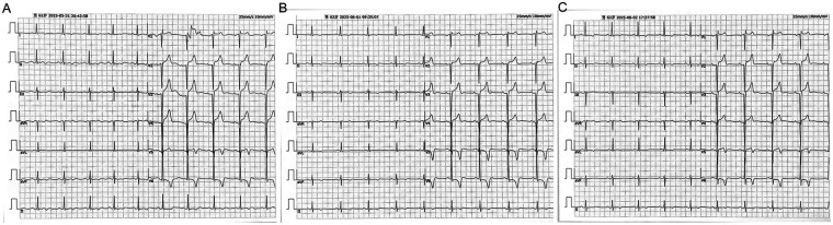 Figure 1