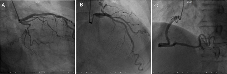 Figure 3