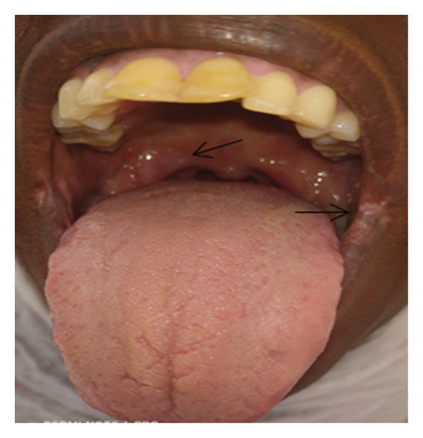 Figure 6