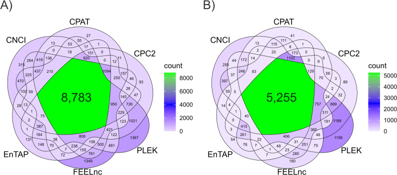 Figure 20