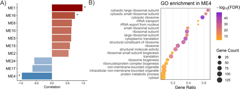 Figure 21