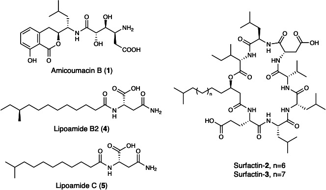 Fig 2