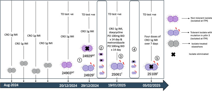 Fig 1