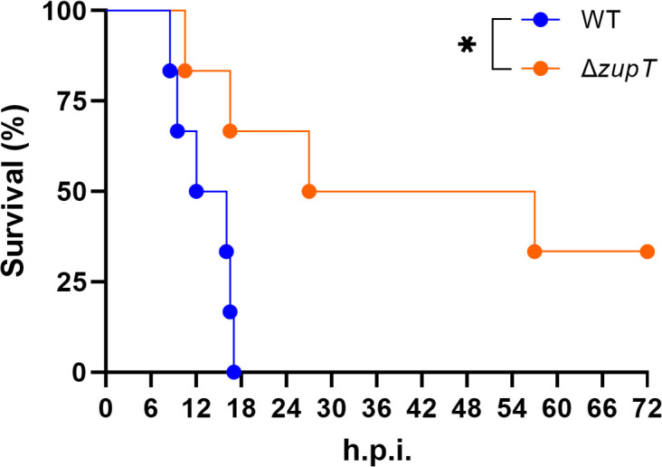 Fig 5