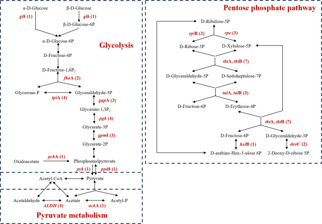 Fig 5