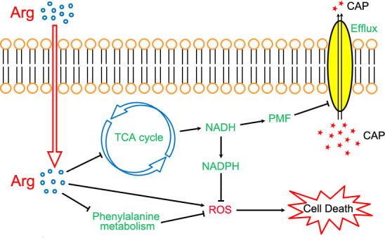 Fig 7