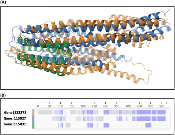 Figure 7