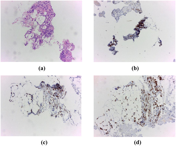 Figure 2