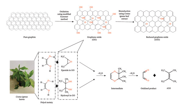 Figure 9