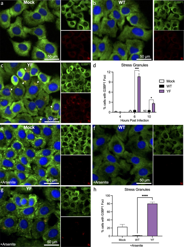 Fig 6