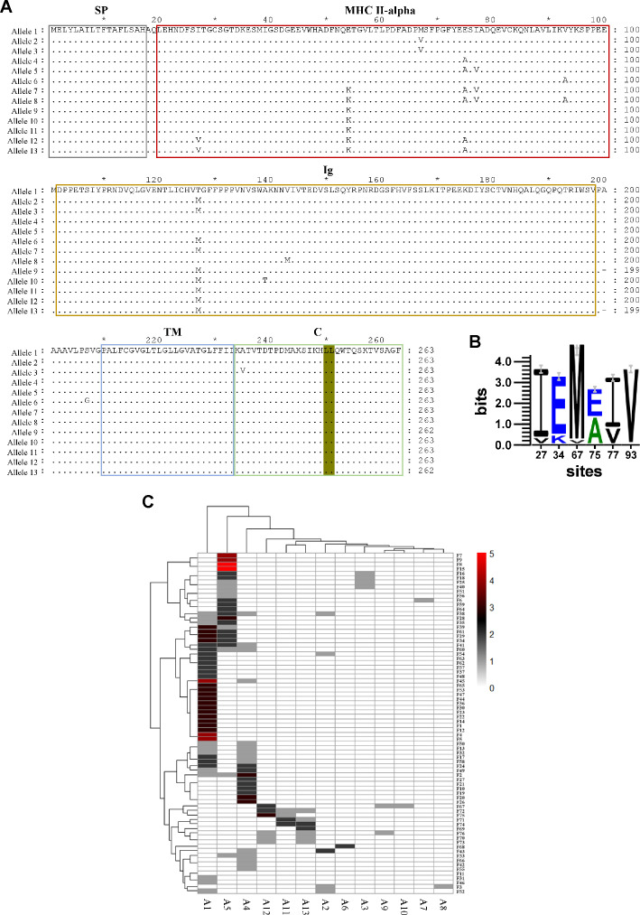 Fig 2