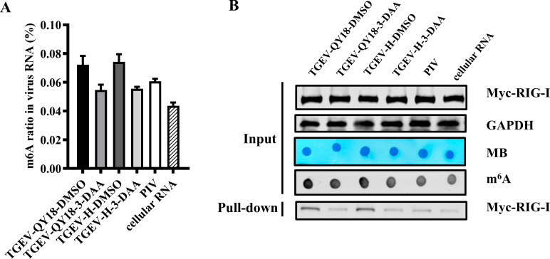 Fig 8