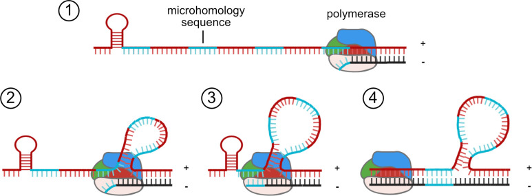 Fig 10