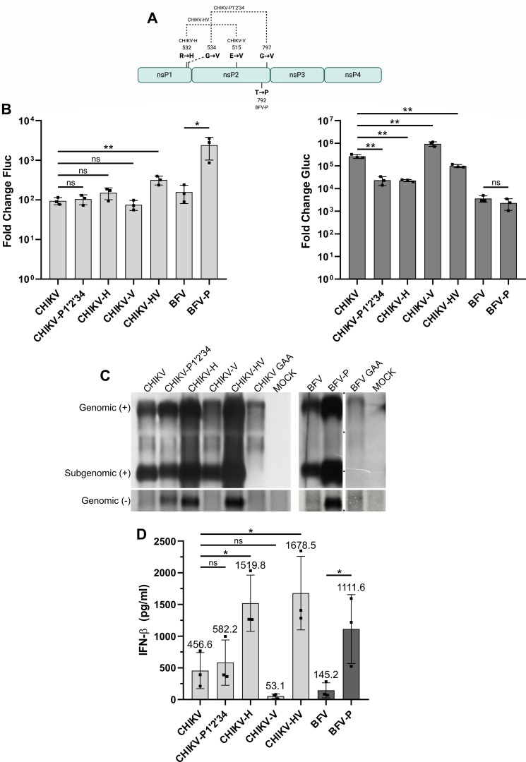 Fig 4