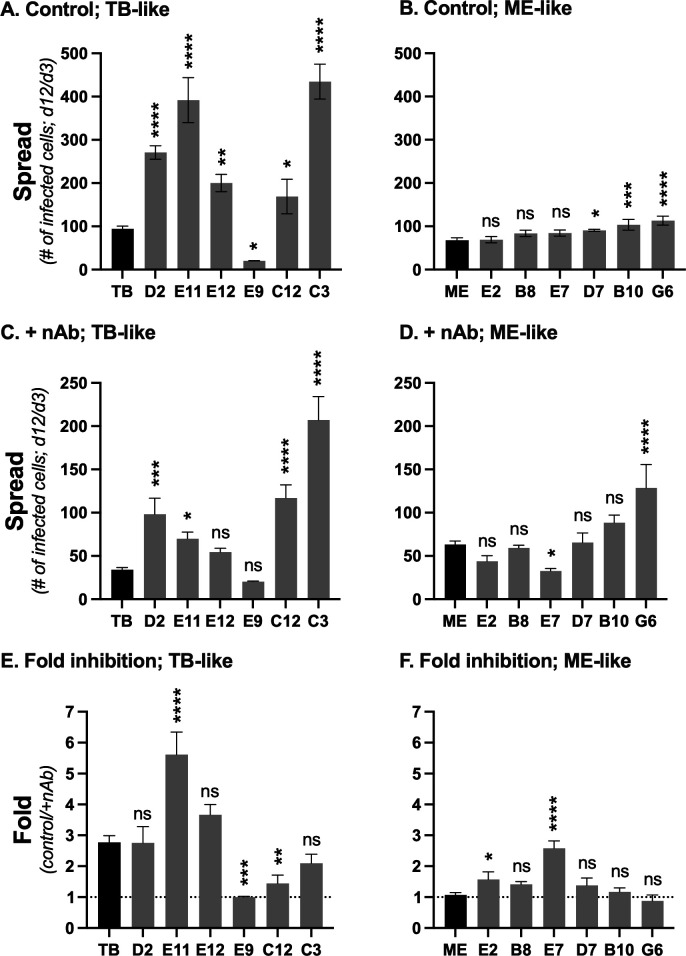 Fig 6