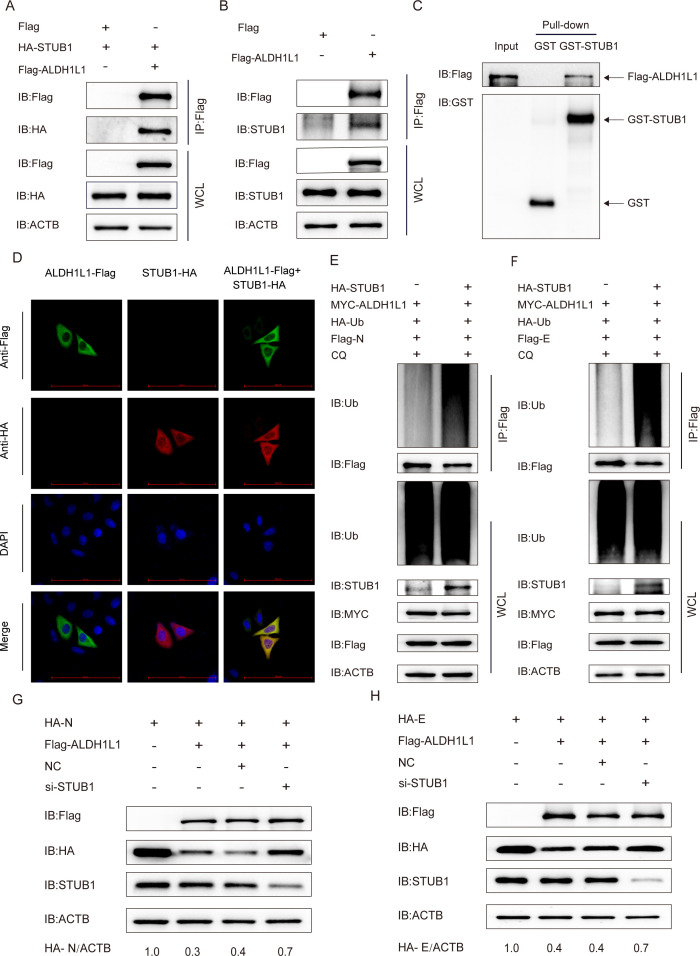 Fig 4