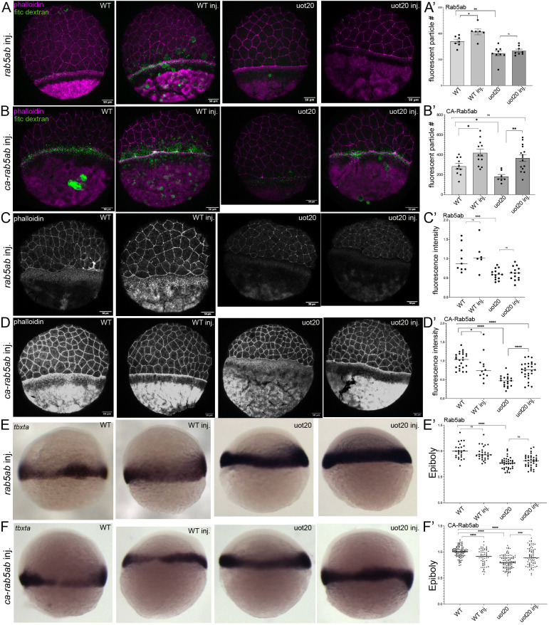 Fig. 9