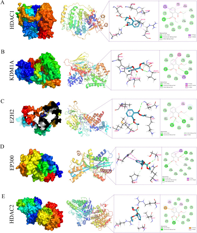 Fig 6