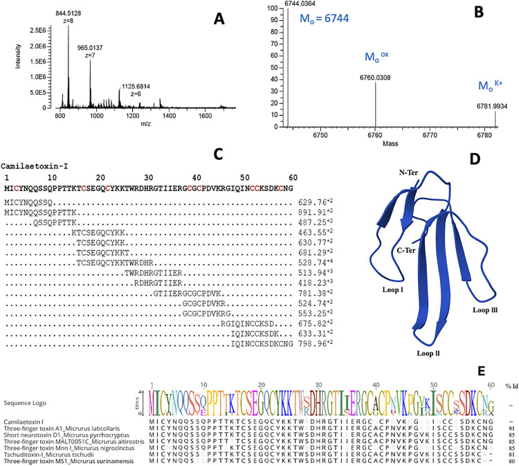 Fig 6