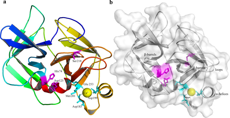 Fig 3