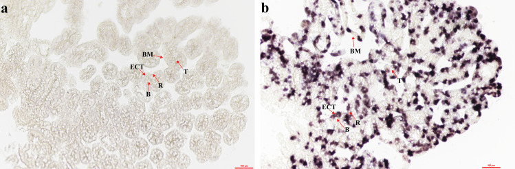 Fig 7