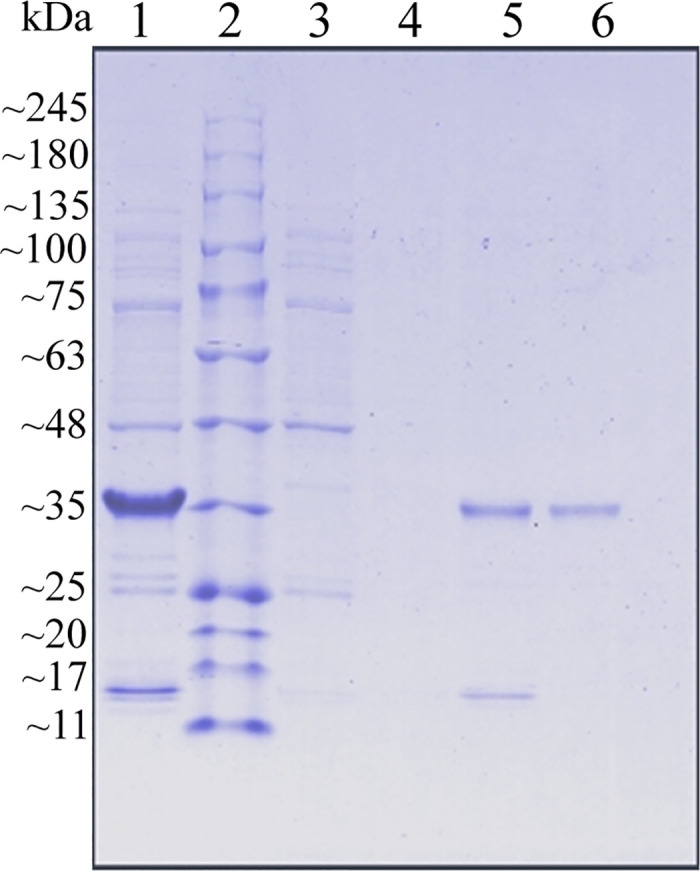 Fig 8