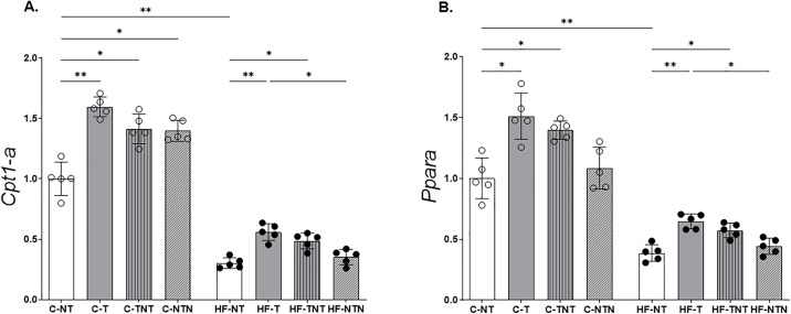 Fig 5