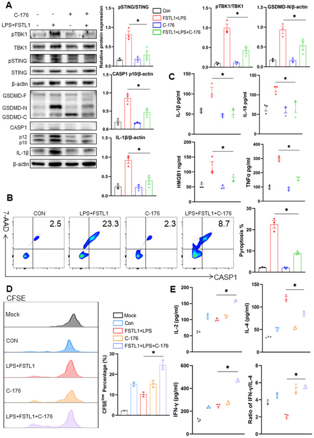 Fig 4