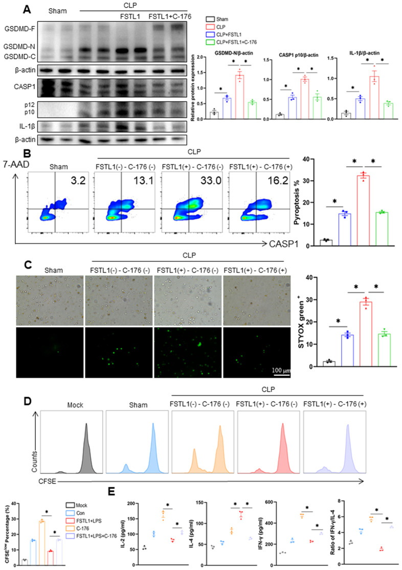 Fig 6
