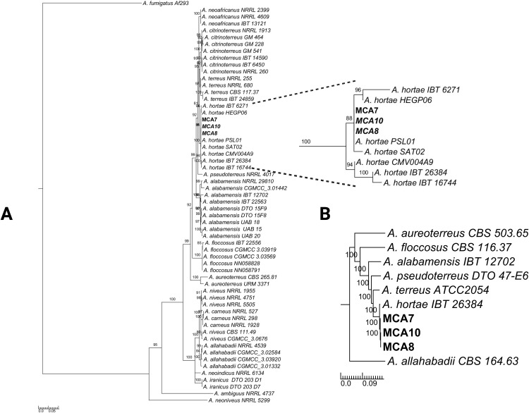 Fig 4