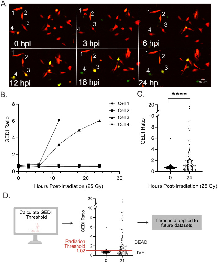 Fig 2