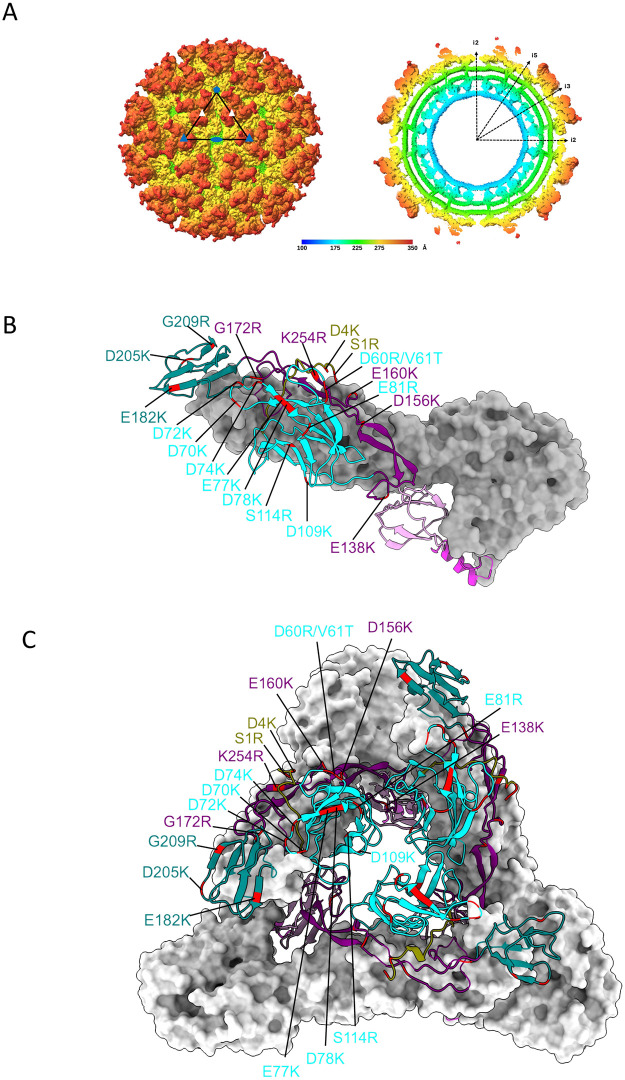 Fig 2