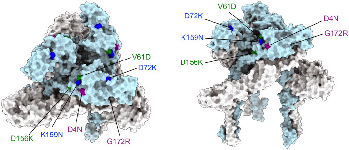 Fig 6