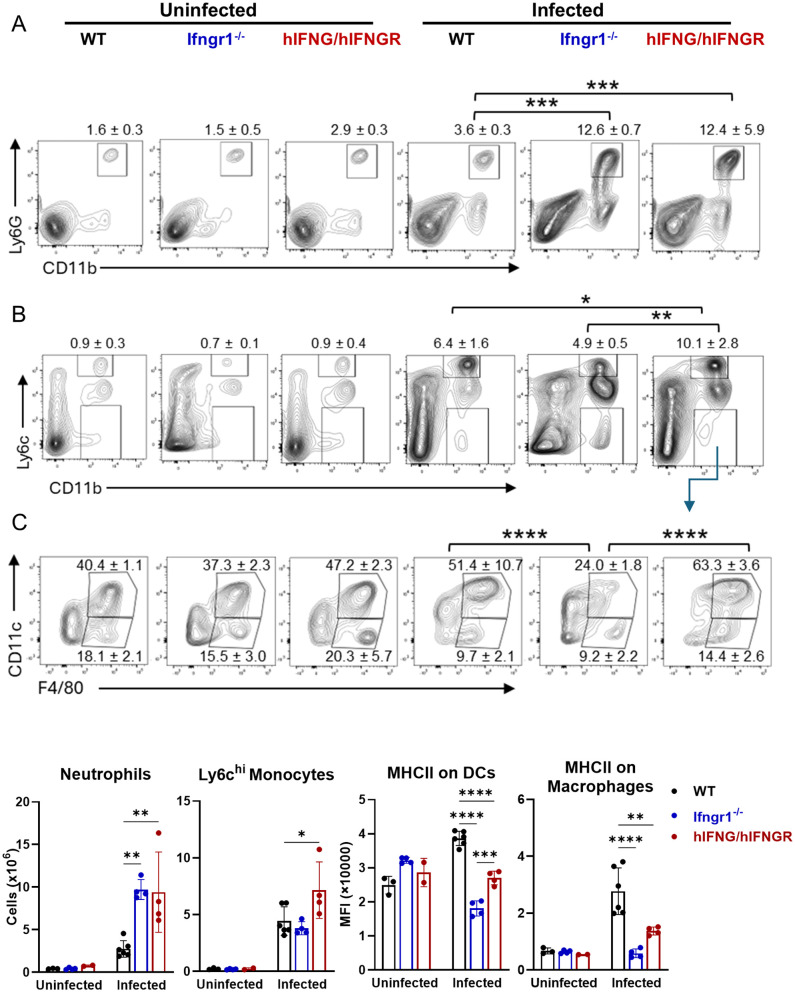 Fig 6
