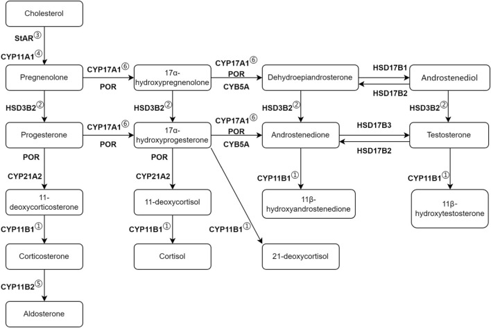FIGURE 1