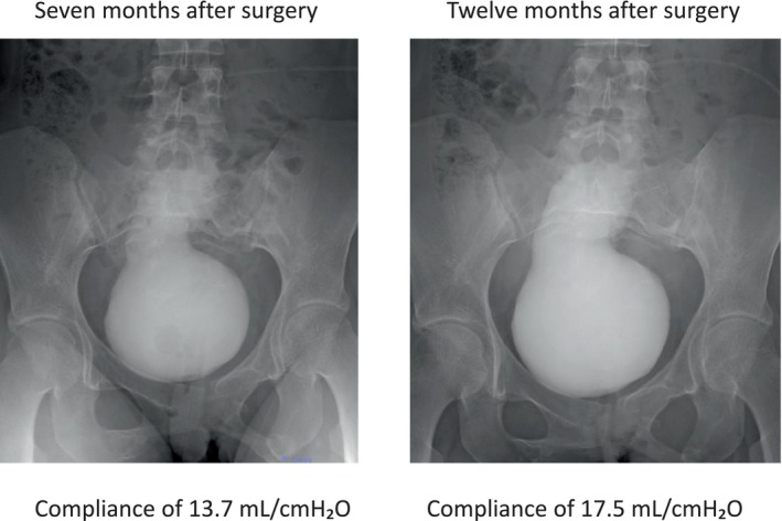 FIGURE 3