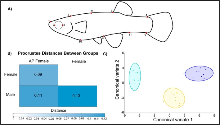 FIGURE 5