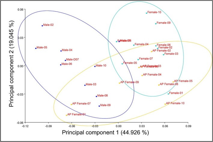FIGURE 4