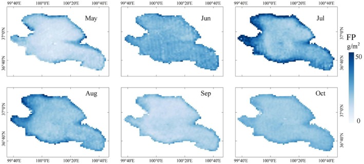 FIGURE 4