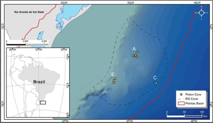 FIGURE 1