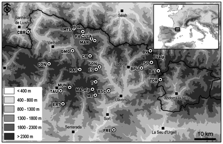 FIGURE 1