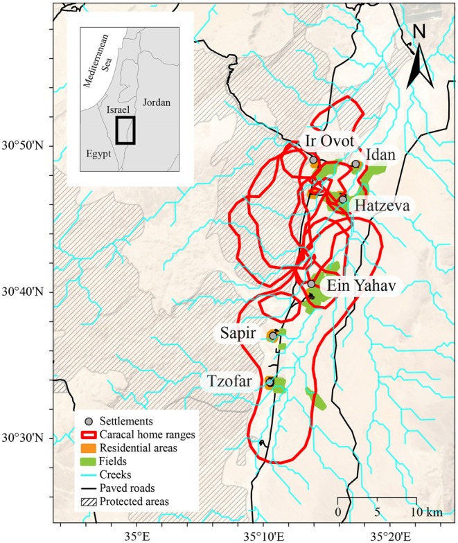 FIGURE 1