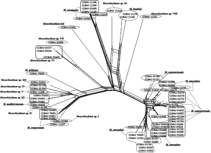 FIGURE 3
