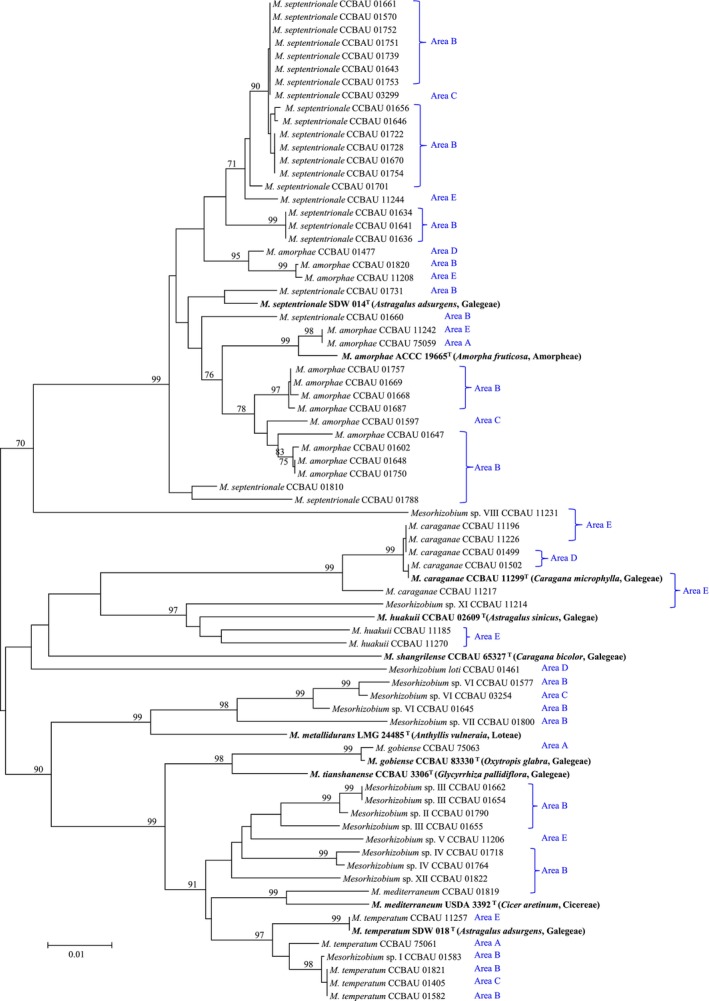 FIGURE 1
