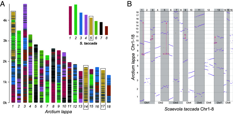 Fig. 2