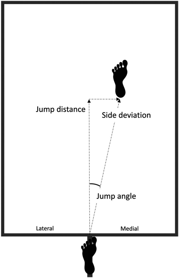 Figure 1
