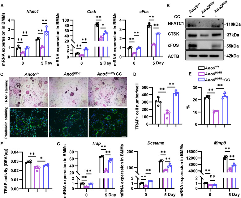 Figure 6