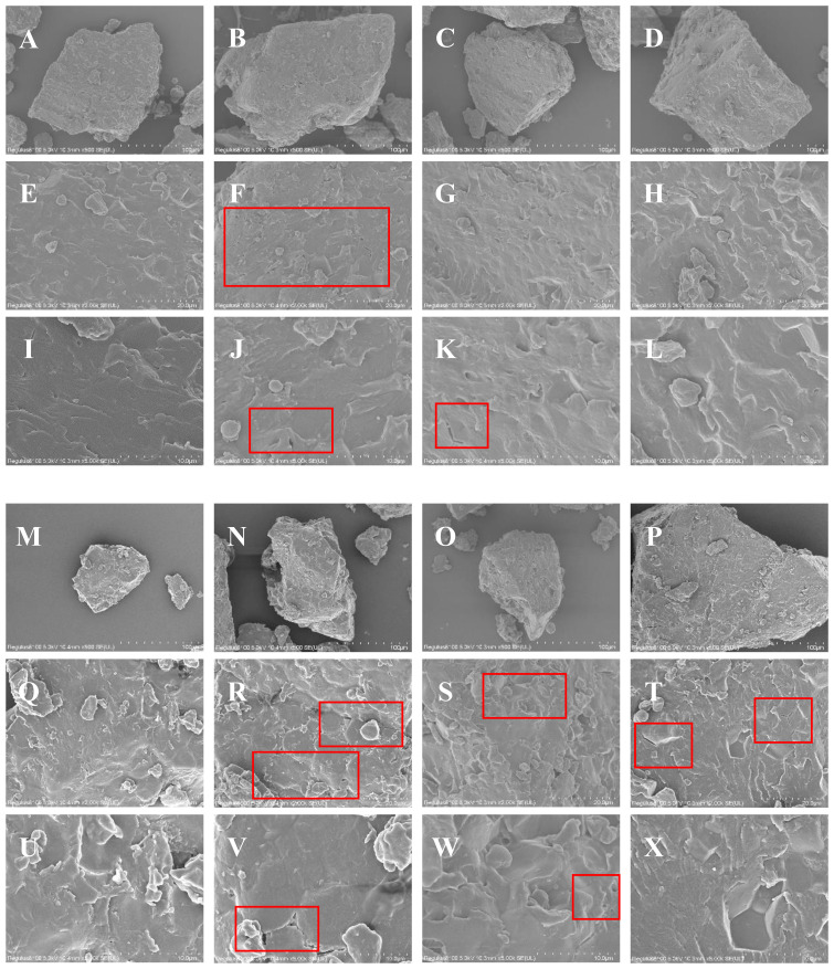 Figure 5